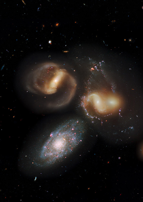 image credit | little wows by liz tinlin