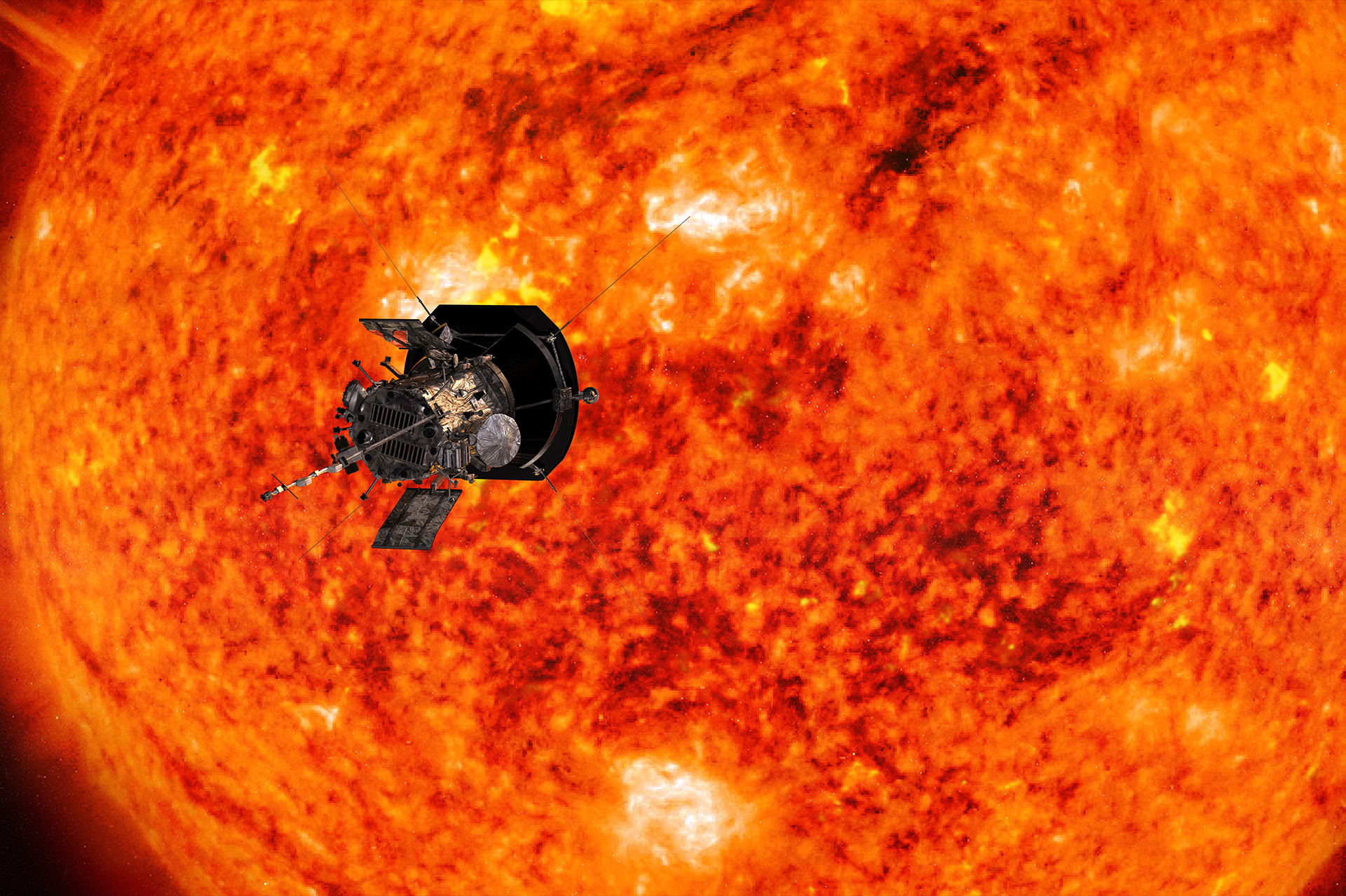 image credit | little wows by liz tinlin